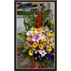 CBF-002